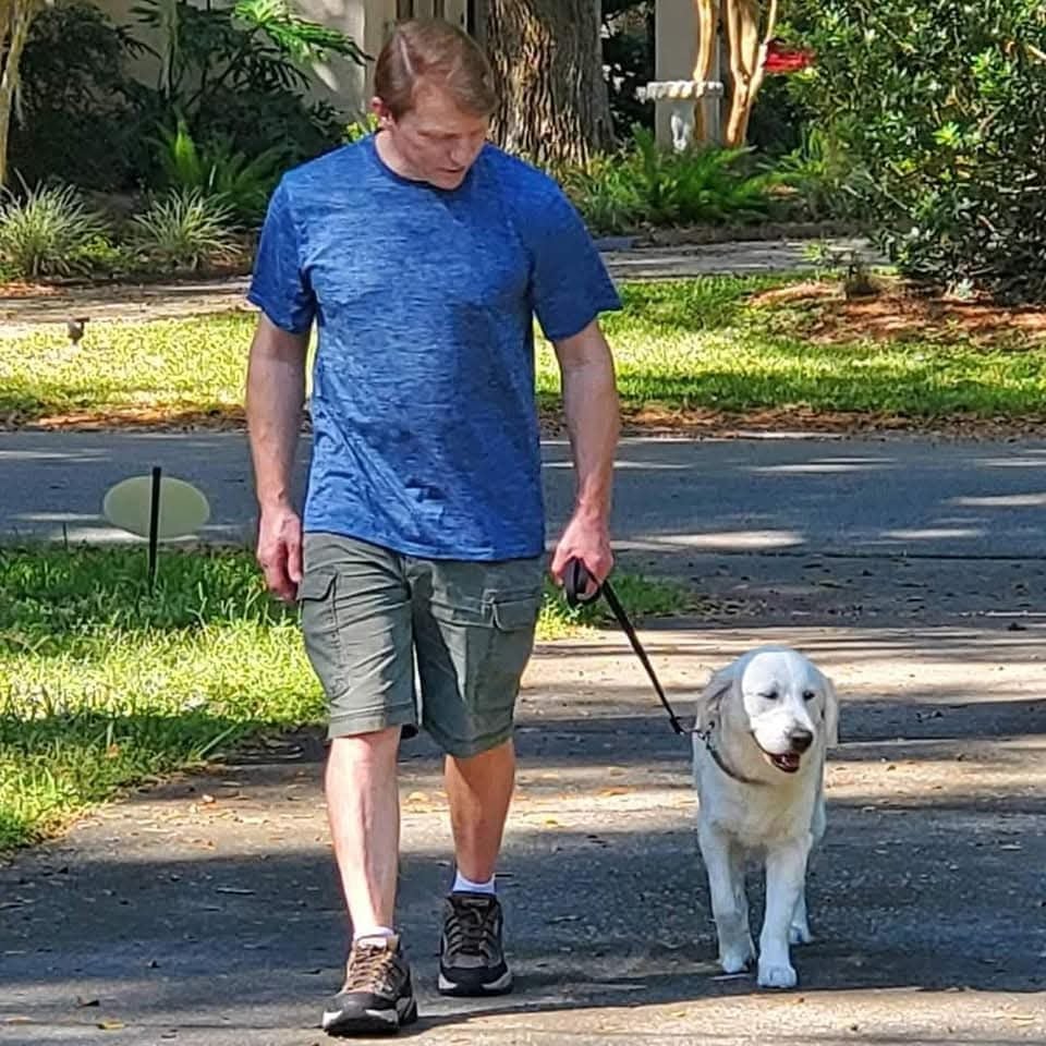 campbells canine training services dog training